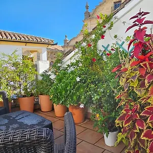  Appartement Descalzos Angel With Private Terrace Free Parking Spanje