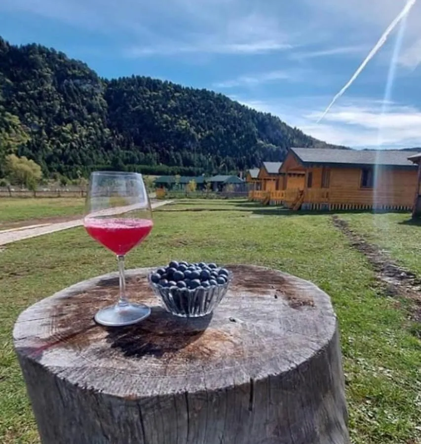Camping Farm Shelegur Leskovik 빌라