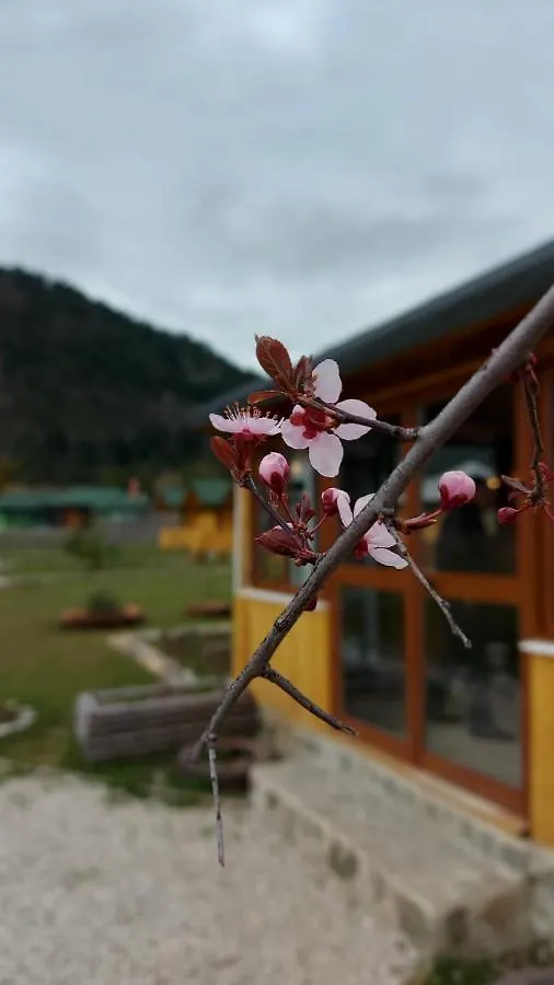 Camping Farm Shelegur Leskovik